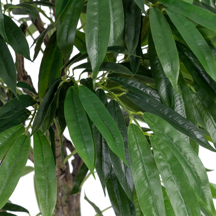 Planta Eucalipto Verde 105 X 100 X 160 cm