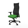 PIQUERAS Y CRESPO Sillón Albacete Verde y Negro con Mecanismo Sincro y Brazos 2D