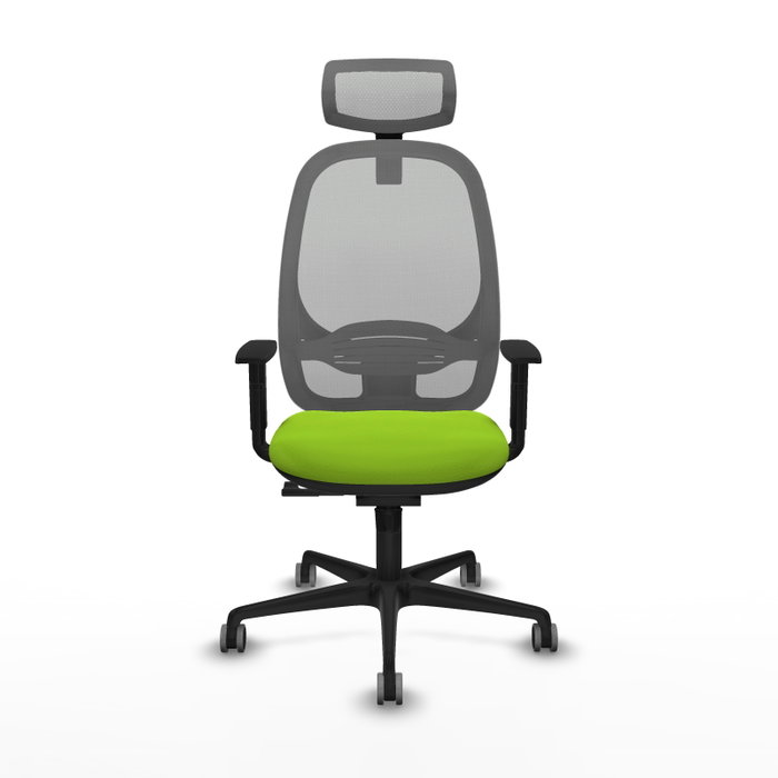 PIQUERAS Y CRESPO Silla de oficina Cilanco con mecanismo Sincro, Pistacho y Gris PIQUERAS Y CRESPO Silla de oficina Cilanco con mecanismo Sincro, Pistacho y Gris