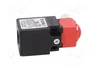 PIZZATO ELETTRICA FK 3496-M1 Interruptor de seguridad de bisagra NC x2 IP67