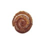 Croci Bakery Roll Canela Con Pollo 11,5cm 15 Unidades