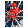 Educa Puzzle Spider-Man de 500 piezas