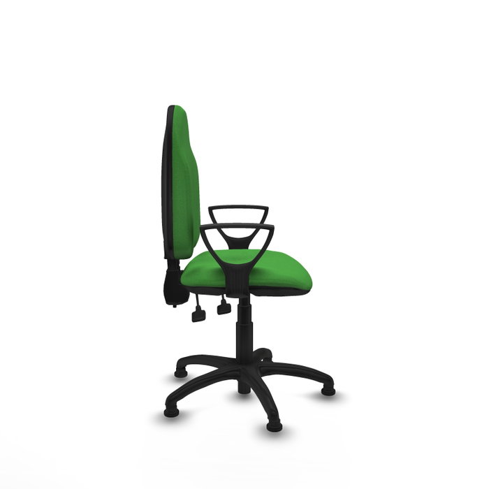 PIQUERAS Y CRESPO Silla de oficina Algarra Verde con Brazos Fijos PIQUERAS Y CRESPO Silla de oficina Algarra Verde con Brazos Fijos