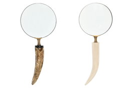 DKD Home Decor Lupa de Mano Forma Cuerno x3, Surtido de 2 Unidades