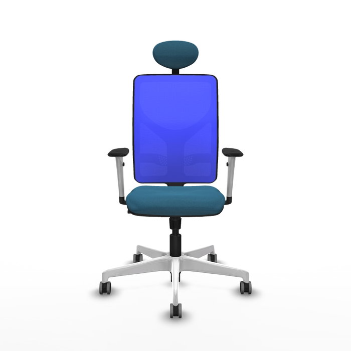 PIQUERAS Y CRESPO Silla de oficina Motilla con mecanismo Sincro, Verde petróleo y Azul PIQUERAS Y CRESPO Silla de oficina Motilla con mecanismo Sincro, Verde petróleo y Azul