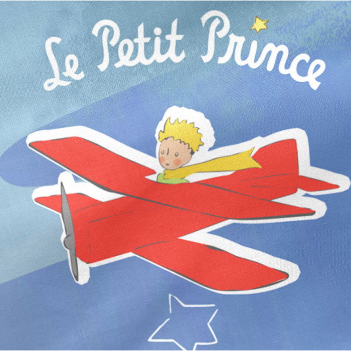 Protector de Cuna HappyFriday Le Petit Prince Son avion
