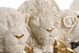DKD Home Decor Figura de Resina Surtida de 3 Piezas, Blanco y Dorado
