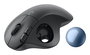 Logitech Ratón Inalámbrico Ergo M575S Negro Bluetooth y Receptor USB