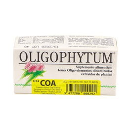 HOLISTICA H14 Coa Cobre Oro Plata 100G Oligoelementos