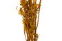 DKD Home Decor Ramo de Flores Secas Surtido Naranja y Púrpura 20x10x60 cm