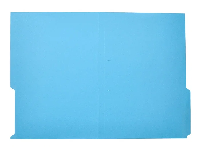 Liderpapel Subcarpeta de cartulina con pestaña derecha Din A4 Azul Liderpapel Subcarpeta de cartulina con pestaña derecha Din A4 Azul