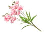 Ibergarden Vara 5 Ramas 20 Flores Rosa 55 cm (Set de 12)