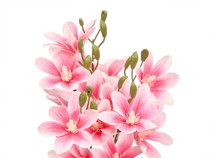Ibergarden Vara 5 Ramas 20 Flores Rosa 55 cm (Set de 12)