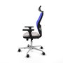 PIQUERAS Y CRESPO Silla de oficina Jorquera con mecanismo Sincro/Traslack, Azul y Blanco