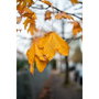 Samyang AF 1.4/35 P FE Sony E