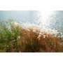 Samyang AF 1.4/35 P FE Sony E