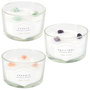 Home Deco Factory Vela Perfumada con Piedras 3 Mechas, 280g, Duracion 18h, 13 x 7.8 cm - Surte de Aromas (Jazmin, Ambar, Almizcle)