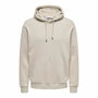 Sudadera con Capucha Hombre Only & Sons ceres ie Silver Lining