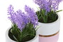 DKD Home Decor Planta Lila Rosa Palo Ceramica Pe 10.5 x 20 x 10.5 cm (4 Unidades)