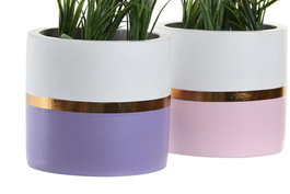 DKD Home Decor Planta Lila Rosa Palo Ceramica Pe 10.5 x 20 x 10.5 cm (4 Unidades)