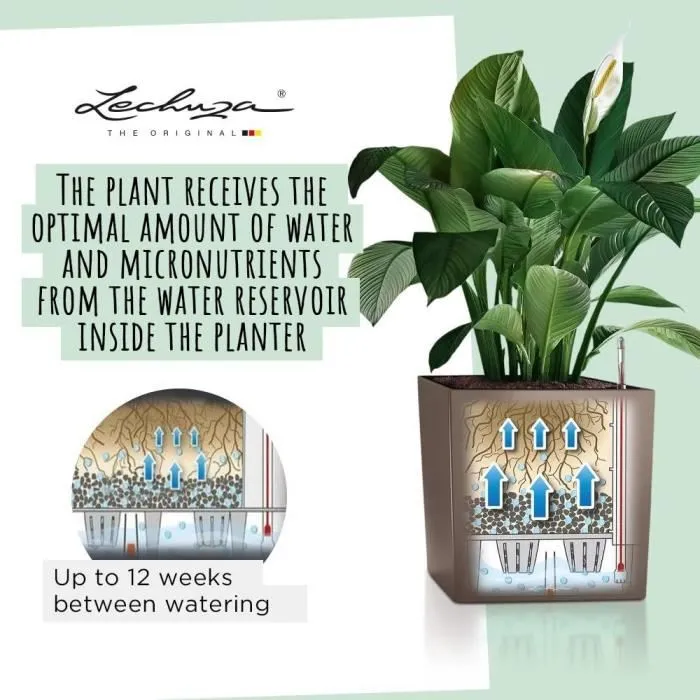 Maceta Autorriego Lechuza 50 x 50 cm Negro Polipropileno Plástico