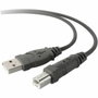 Belkin Cable de Impresora USB 2.0 A a USB 2.0 B, 3m, Gris