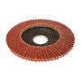 Workpro Disco de láminas convexo ø115 x 22,2 mm grano 120 para hierro fundido, acero y madera