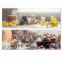 DKD Home Decor Cuadro Lienzo Pino 90x30x2,3 Surtido de 2