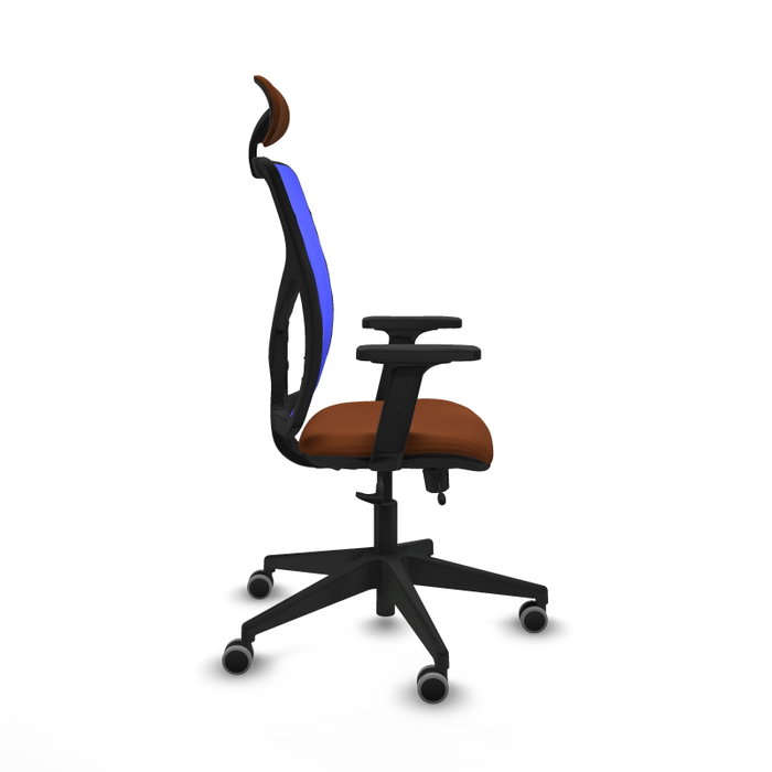 PIQUERAS Y CRESPO Silla de oficina Motilla con mecanismo Sincro/Traslack, Marrón y Azul PIQUERAS Y CRESPO Silla de oficina Motilla con mecanismo Sincro/Traslack, Marrón y Azul