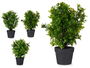 Ibergarden Maceta Plástico Negra Grande 25x50x25cm Para Plantas Verdes (Set de 3)