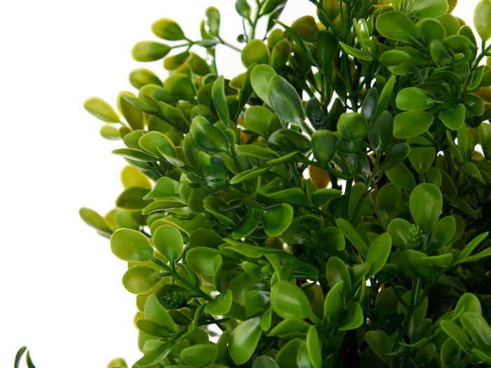 Ibergarden Maceta Plástico Negra Grande 25x50x25cm Para Plantas Verdes (Set de 3)