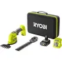 Ryobi RYO4892210218063 Tijera Cortasetos Escultor de Plantas 18V + Batería 2.0 Ah, Cargador 1.5 A y Estuche