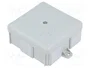 ELEKTRO-PLAST NASIELSK EP-LUX Caja de conexiones gris con prensaestopas