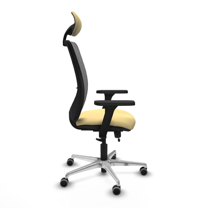 PIQUERAS Y CRESPO Silla de oficina Zulema con mecanismo Sincro/Traslack, Crema y Gris PIQUERAS Y CRESPO Silla de oficina Zulema con mecanismo Sincro/Traslack, Crema y Gris