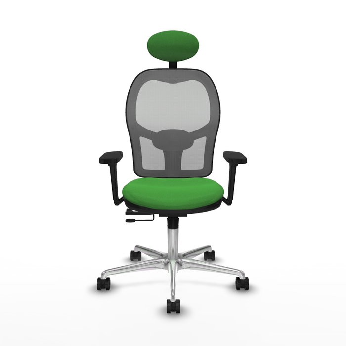 PIQUERAS Y CRESPO Silla de oficina Jorquera con Mecanismo Sincro/Traslack, Tela Verde y Malla Gris PIQUERAS Y CRESPO Silla de oficina Jorquera con Mecanismo Sincro/Traslack, Tela Verde y Malla Gris