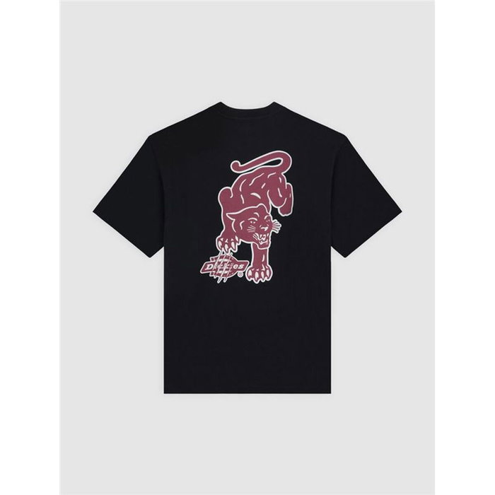 Camiseta de Manga Corta Hombre Dickies Graysville Ss Negro 7-8 Años