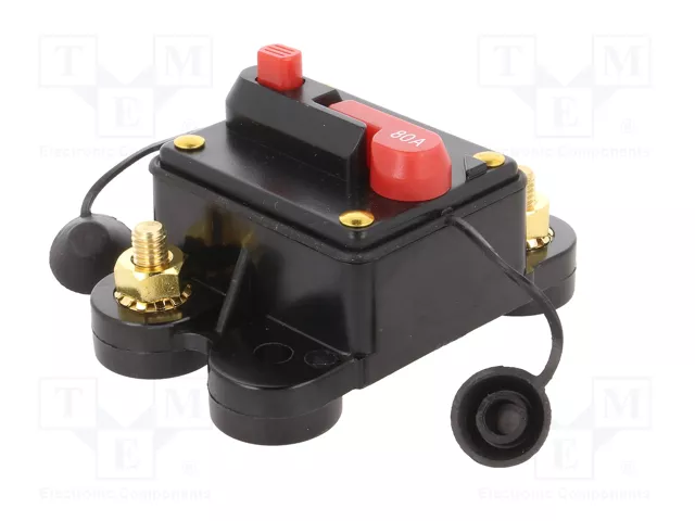 4CARMEDIA Fusible Automático de Coche 80A Retardado