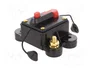 4CARMEDIA Fusible Automático de Coche 80A Retardado