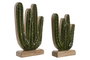 DKD Home Decor Set de Decoración de 2 Piezas Cactus en Mango Lacado