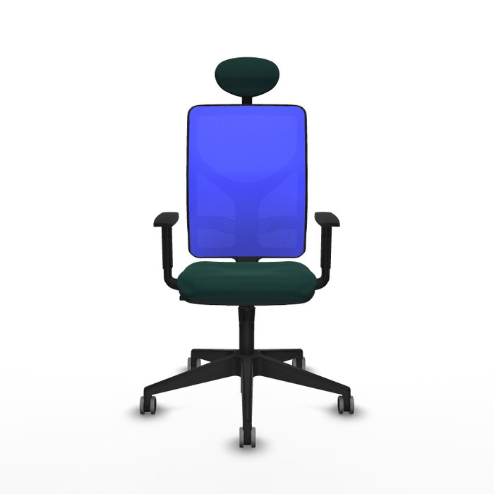 PIQUERAS Y CRESPO Silla de oficina Motilla con mecanismo Sincro, Verde botella y Azul PIQUERAS Y CRESPO Silla de oficina Motilla con mecanismo Sincro, Verde botella y Azul