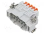 ILME JSHM10 Conector HDC Macho de 10 Pines