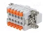 ILME JSHM10 Conector HDC Macho de 10 Pines