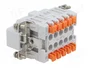 ILME JSHM10 Conector HDC Macho de 10 Pines
