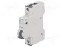 SIEMENS 5SY6106-6 Interruptor magnetotérmico 6A 1 polo 6kA