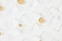 DKD Home Decor Cuadro Lienzo Abstracto Pack de 2