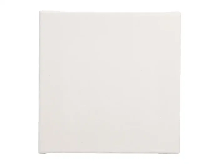 Liderpapel Lienzo 30x30 cm - Bastidor de Algodón 100% Grapado Trasero, Gramaje 280 g/m² para Pintura Acrílica y Óleo Liderpapel Lienzo 30x30 cm - Bastidor de Algodón 100% Grapado Trasero, Gramaje 280 g/m² para Pintura Acrílica y Óleo