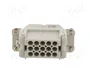 LAPP EPIC H-D Plantilla de Contacto Hembra HDC 15 PIN
