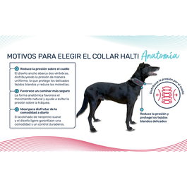 Collar para Perro Company of Animals Gris