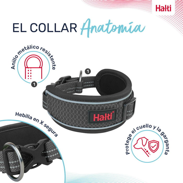 Collar para Perro Company of Animals Gris Collar para Perro Company of Animals Gris