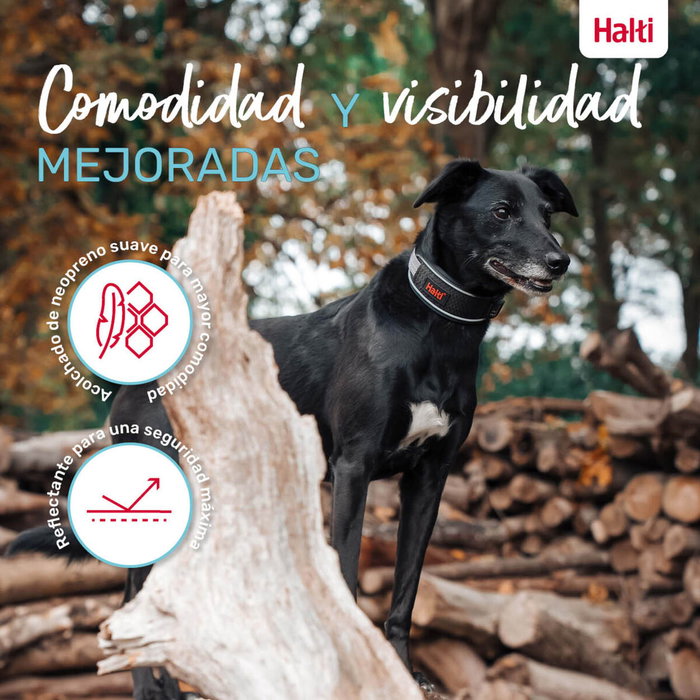 Collar para Perro Company of Animals Gris Collar para Perro Company of Animals Gris